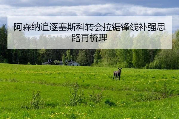 阿森纳追逐塞斯科转会拉锯锋线补强思路再梳理（leyu）